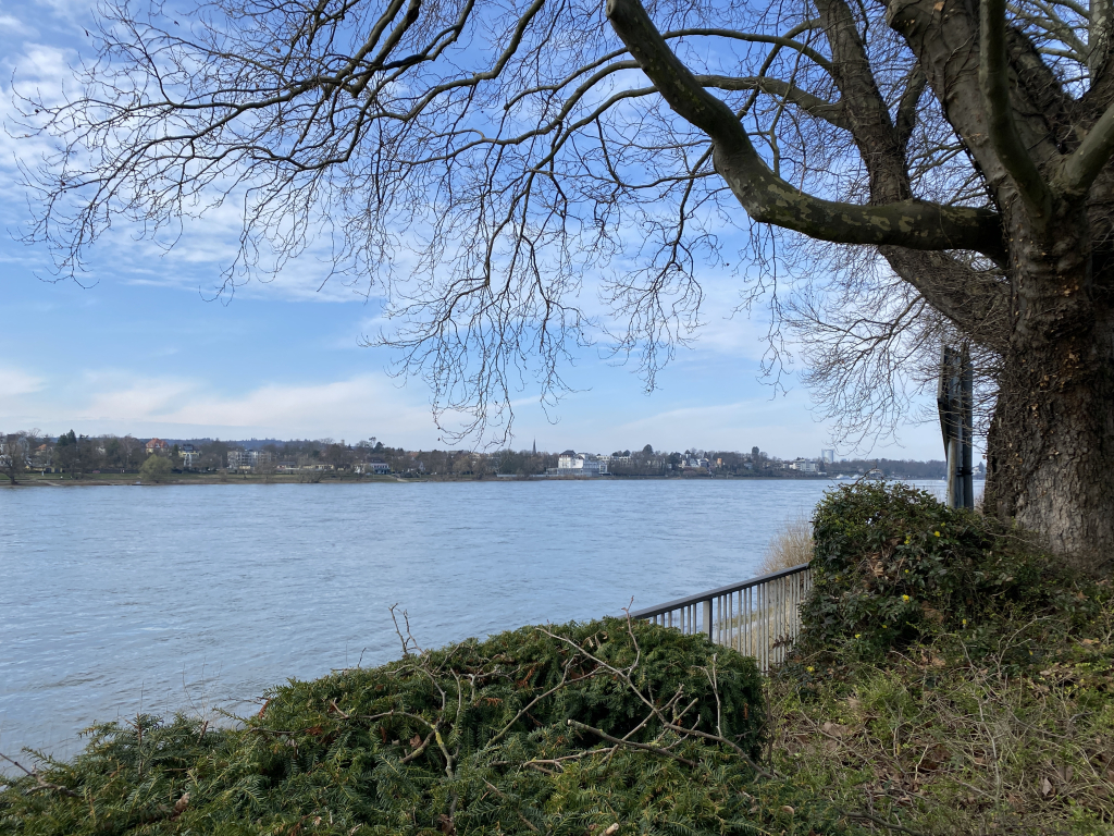 2024-03-03 Rhein 0053 k.JPG